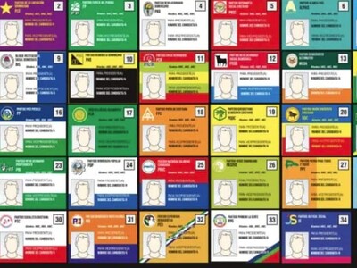 Presupuesto de partidos: organizaciones cuestionan recorte de 50 %