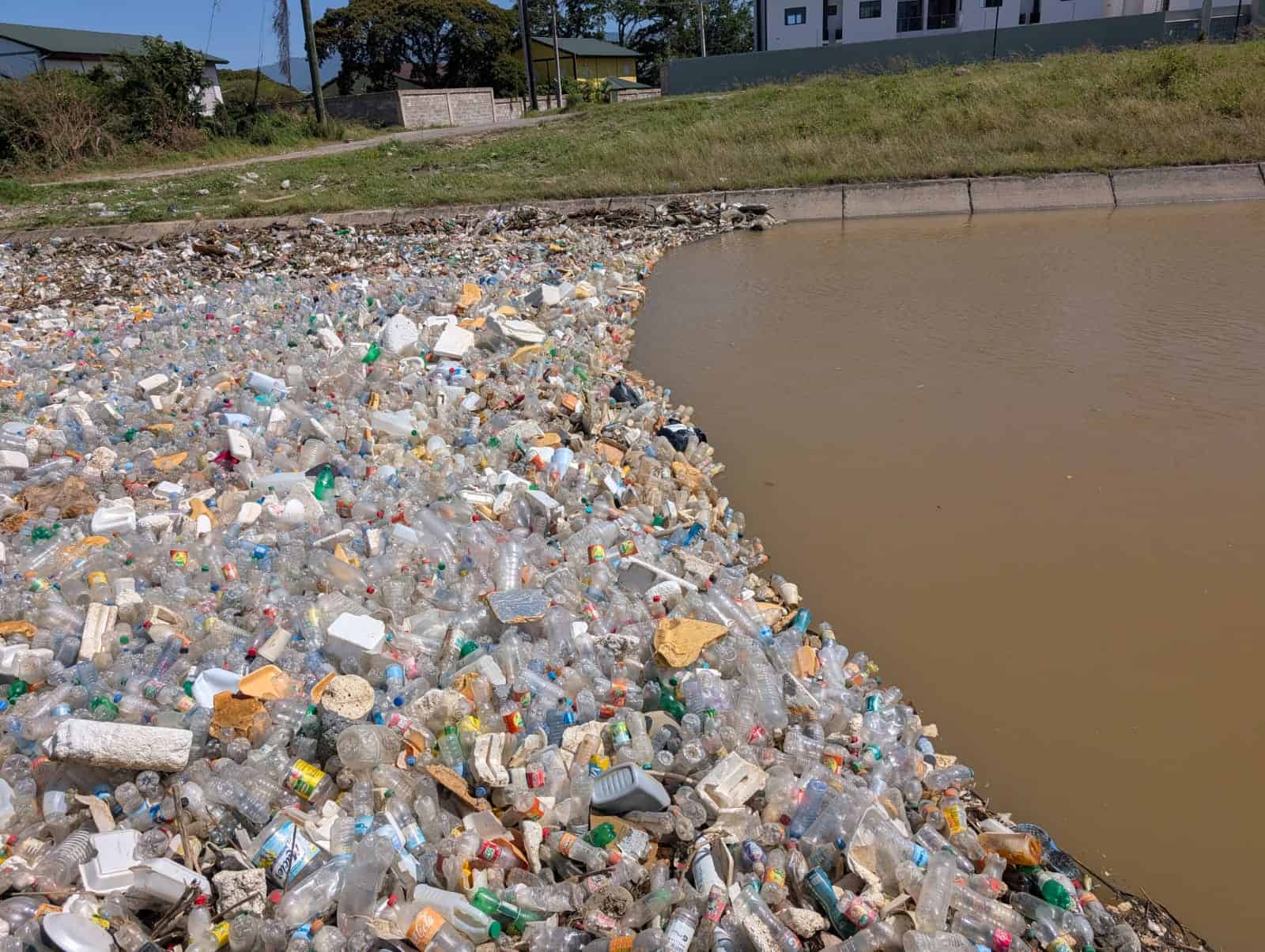 La acumulaci&oacute;n de basura contamina el agua del r&iacute;o.