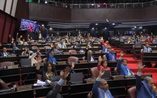 El limbo constitucional de la ley observada por Abinader que a&uacute;n sigue viva en el Congreso