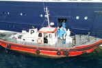Evac&uacute;an a personal enfermo del crucero con brote de hantavirus para atenderlos en Pa&iacute;ses Bajos