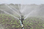 Tecnificar el riego agr&iacute;cola ahorrar&iacute;a m&aacute;s del 60 % del agua en RD