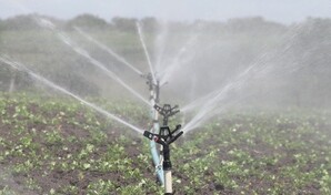Tecnificar el riego agr&iacute;cola ahorrar&iacute;a m&aacute;s del 60 % del agua en RD