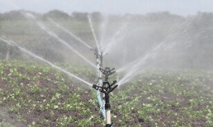 Racionan el agua para la agricultura por falta de lluvias