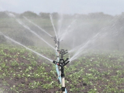 Reducción de lluvias en RD y su impacto en la agricultura