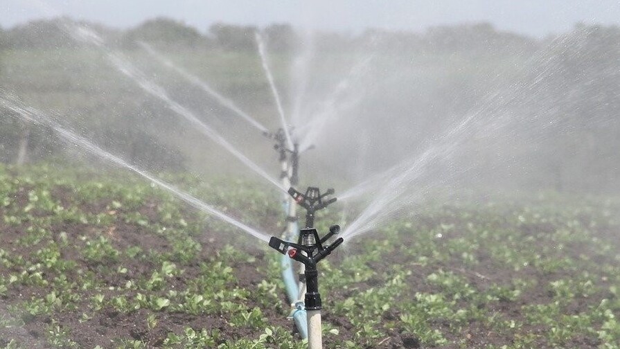 Tecnificar el riego agr&iacute;cola ahorrar&iacute;a m&aacute;s del 60 % del agua en RD