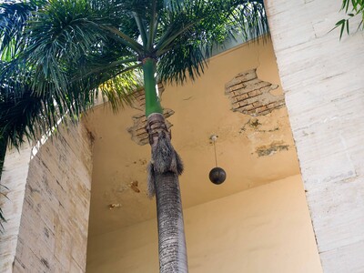 Servicios Penitenciarios sigue operando en edificio con riesgo sísmico