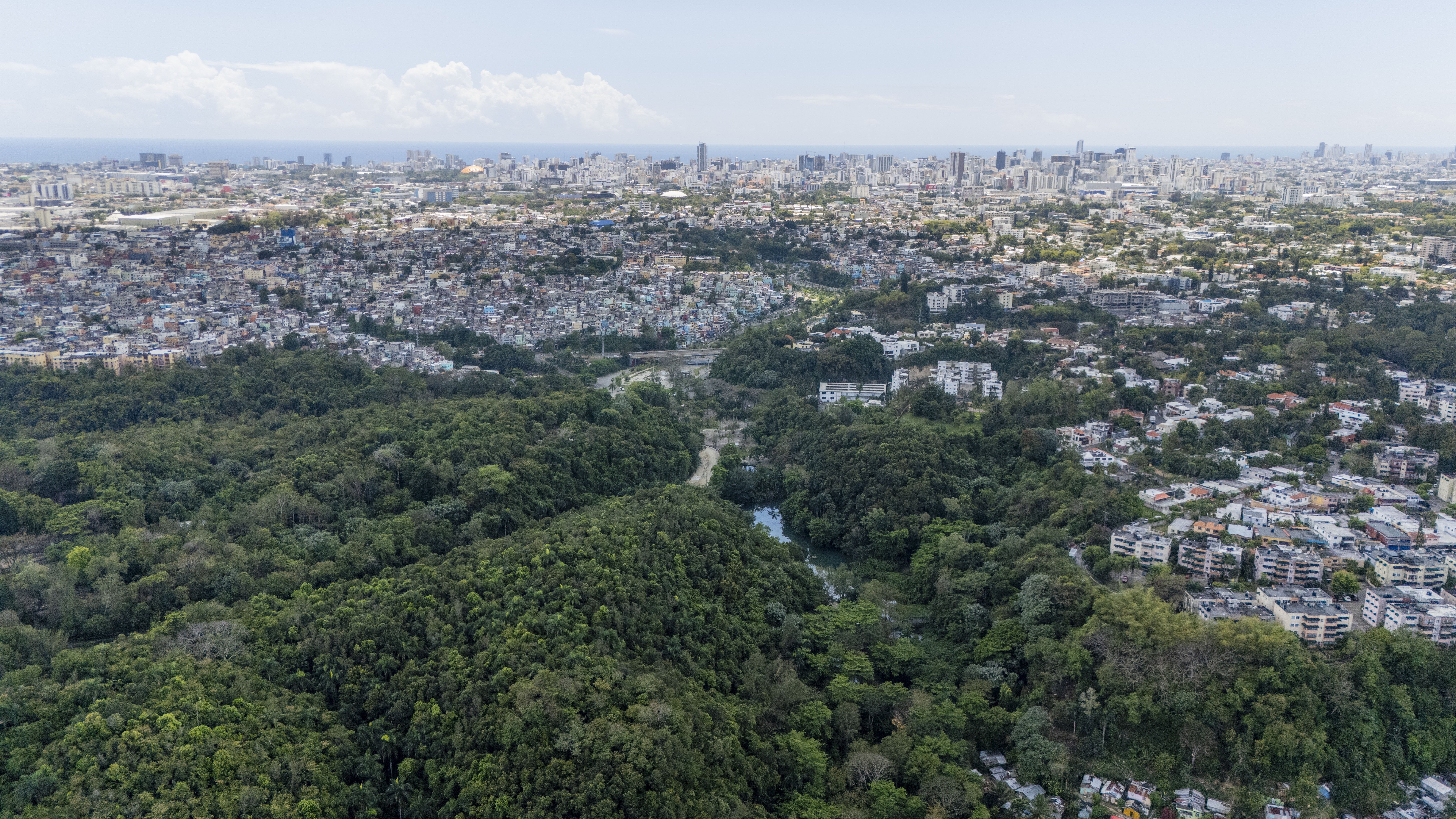 En algunas zonas de la ciudad se conserva la vegetaci&oacute;n. 