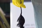 Chile registra 39 casos de hantavirus en lo que va de 2026 y un aumento de la letalidad