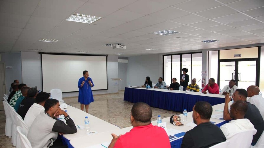 Energ&iacute;a y Minas crea primer cuerpo de inspectores de seguridad en la mina de larimar