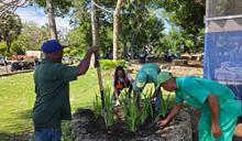 Siembran plantas y limpian parque Domingo Liz de la avenida Espa&ntilde;a