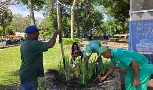 Siembran plantas y limpian parque Domingo Liz de la avenida Espa&ntilde;a