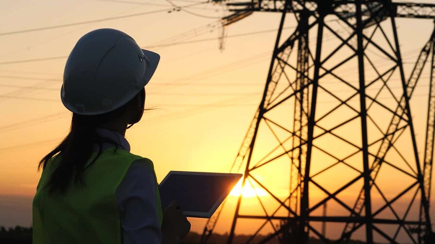 P&eacute;rdidas de las EDE alcanzan el 38.9 % a febrero del 2026
