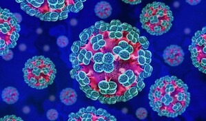 Seis casos confirmados de hantavirus tras brote en crucero, seg&uacute;n la OMS