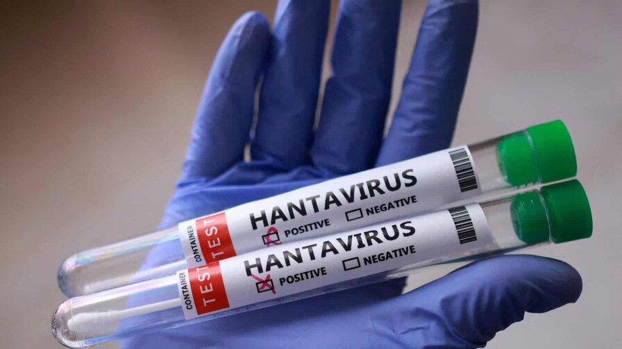 España, Francia y Países Bajos adquieren un tratamiento experimental contra el hantavirus España, Francia y Países Bajos adquieren un tratamiento experimental contra el hantavirus