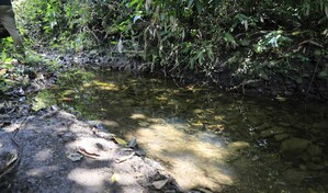 Familiares relatan c&oacute;mo hallaron el cuerpo de ni&ntilde;o en ca&ntilde;ada de San Crist&oacute;bal