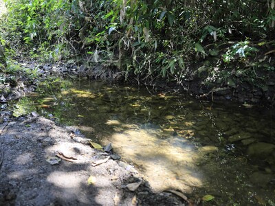 Relatan cómo hallaron el cuerpo de niño en cañada de San Cristóbal