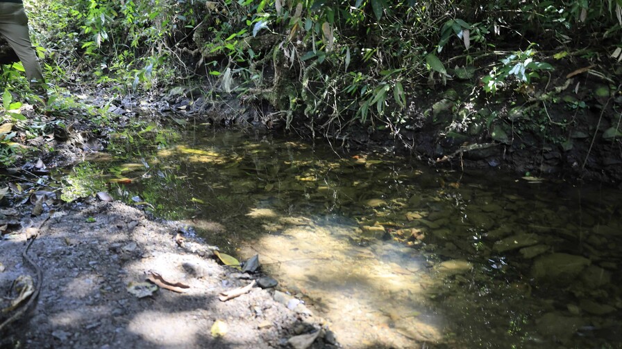 Familiares relatan c&oacute;mo hallaron el cuerpo de ni&ntilde;o en ca&ntilde;ada de San Crist&oacute;bal