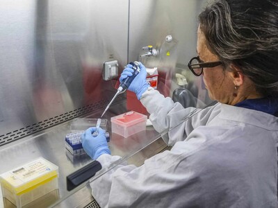Recuerdos del COVID-19 se avivan por brote de hantavirus en crucero