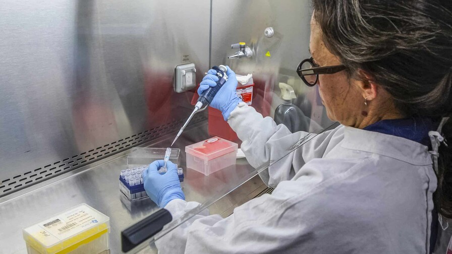 Recuerdos del COVID-19 se avivan por el brote de hantavirus en un crucero