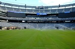 Instalan el c&eacute;sped del estadio de la final del Mundial