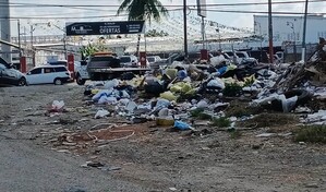 Basurero improvisado convierte entrada del Residencial Do&ntilde;a Idalia en foco de contaminaci&oacute;n en SDE