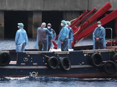 Llegan a Francia 5 galos desde España en vuelo sanitario