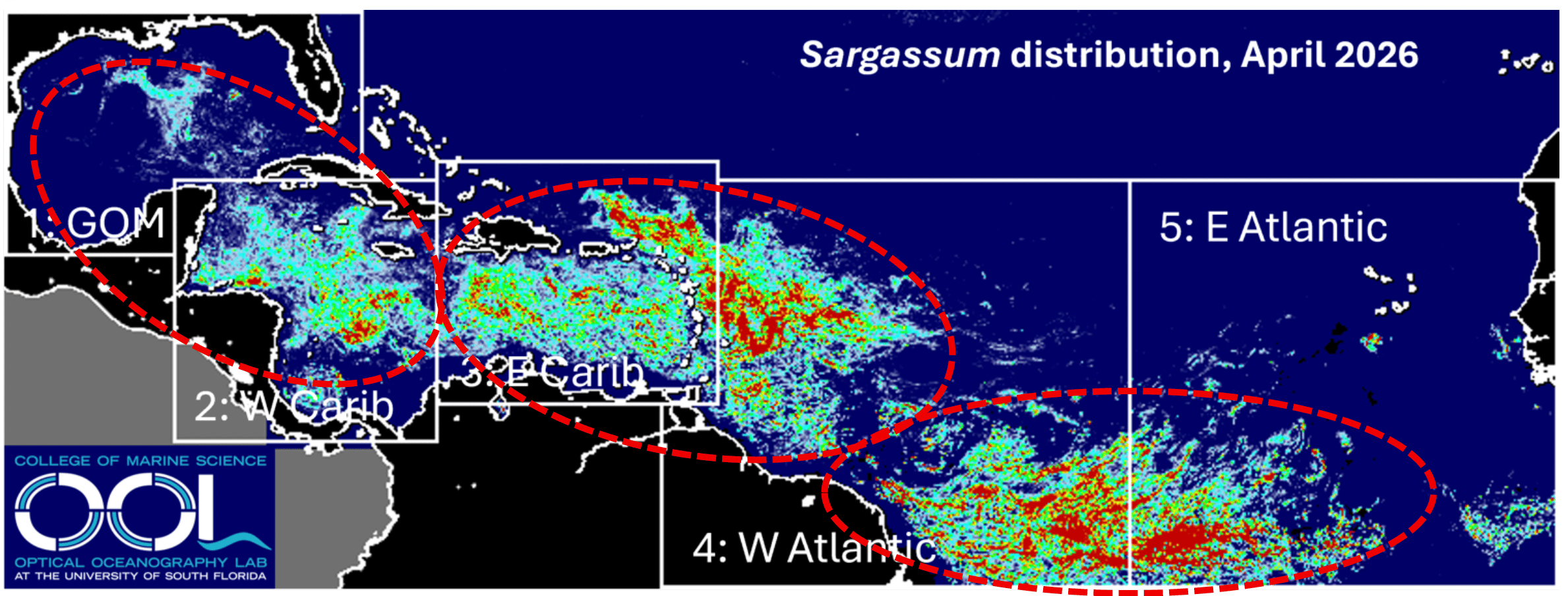 Gráfico distribución de sargazo.&nbsp;