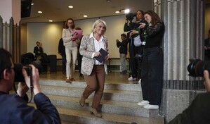Par&iacute;s afirma que la ciudadana francesa infectada por hantavirus en el Hondius est&aacute; grave