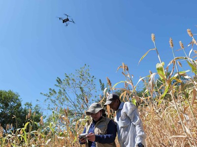 herramienta para saber qué y cuándo sembrar ante el riesgo climático