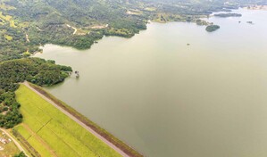 El ciclo de las algas en la presa de Hatillo podr&iacute;a concluir