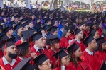 La UASD redise&ntilde;a sus carreras con &eacute;nfasis en las competencias