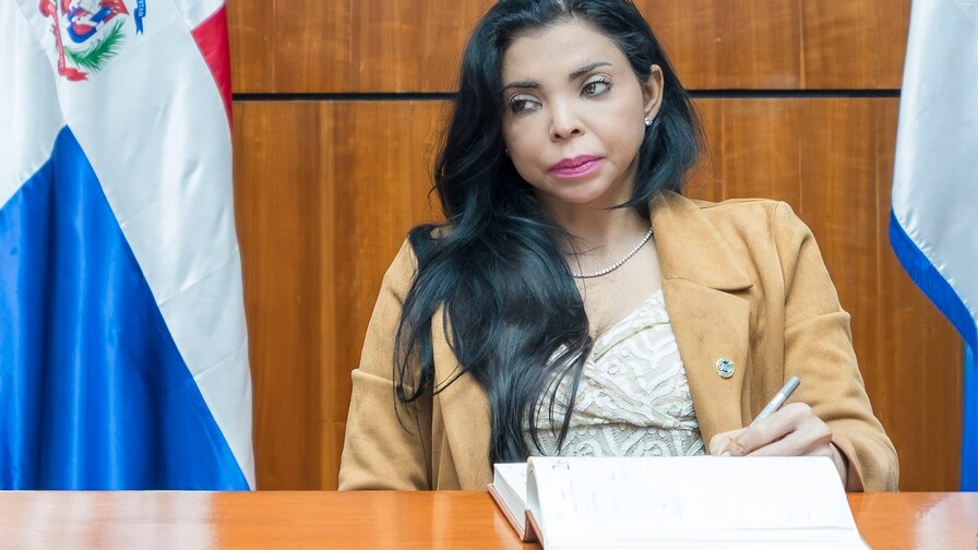 Yeni Berenice se opone a retrasar la entrada en vigor del Código Penal Yeni Berenice se opone a retrasar la entrada en vigor del Código Penal