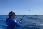 “Los Sabaleros” dominan torneo de pesca al Marlin Blanco.