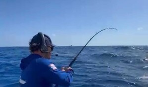 "Los Sabaleros" dominan torneo de pesca al Marlin Blanco.