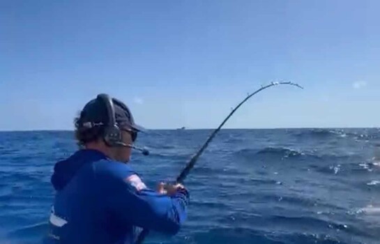 "Los Sabaleros" dominan torneo de pesca al Marlin Blanco.