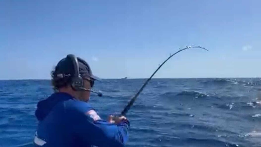 "Los Sabaleros" dominan torneo de pesca al Marlin Blanco.