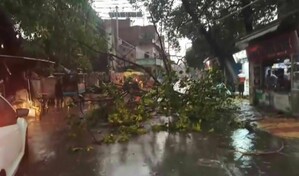Un centenar de muertos por las tormentas en el estado m&aacute;s poblado de India