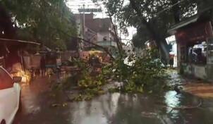 Un centenar de muertos por las tormentas en el estado m&aacute;s poblado de India