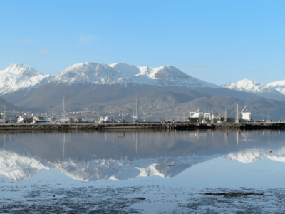 Ushuaia, ¿origen del brote de hantavirus?