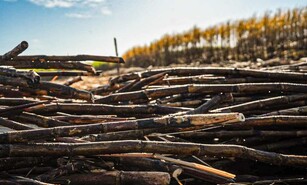 El territorio que aprendi&oacute; a producir futuro