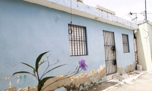 Mayo se convierte en un mes de luto por ola de feminicidios en el pa&iacute;s
