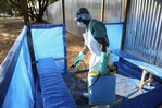 República Dominicana fortalece vigilancia epidemiológica ante alerta internacional por ébola República Dominicana fortalece vigilancia epidemiológica ante alerta internacional por ébola