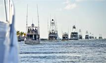 M&aacute;s de 30 lanchas participar&aacute;n en el "Cap Cana White Marlin Tournament 2026"