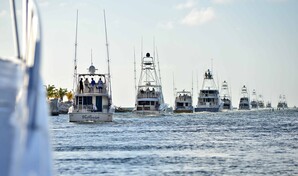 M&aacute;s de 30 lanchas participar&aacute;n en el "Cap Cana White Marlin Tournament 2026"