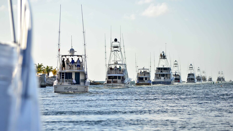 Más de 30 lanchas participarán en el “Cap Cana White Marlin Tournament 2026”