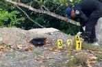 Encuentran a dos hombres muertos con impactos de bala en La Vega