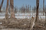 "Actuar localmente": el reto que marca el D&iacute;a de la Biodiversidad