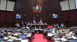 Diputados aprueban en dos lecturas proyecto que deroga el art&iacute;culo 61 del plan anticrisis