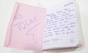 El cuaderno de Carolina