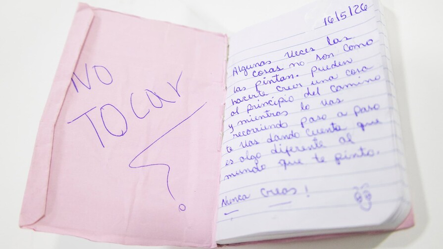 El cuaderno de Carolina